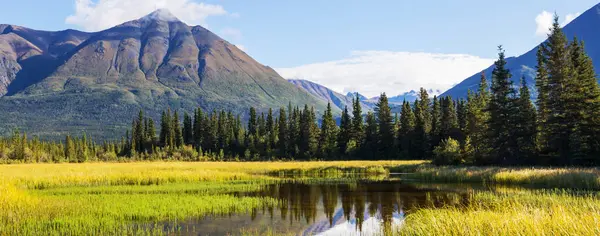 Serenity Lake Der Tundra Alaska — Stockfoto