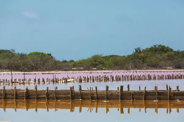 Salt Lake Pink Algae Mexico Beautiful Landscape — Stock Photo, Image