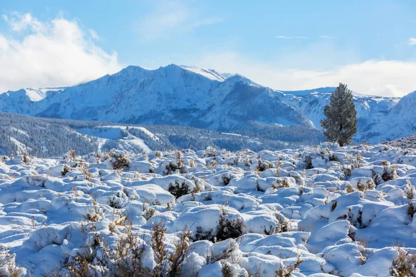 Snow Covered Mountains Winter Season — Stock Photo, Image