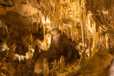 ABD, New Mexico 'daki Carlsbad Mağaraları Ulusal Parkı