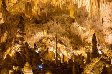 ABD, New Mexico 'daki Carlsbad Mağaraları Ulusal Parkı