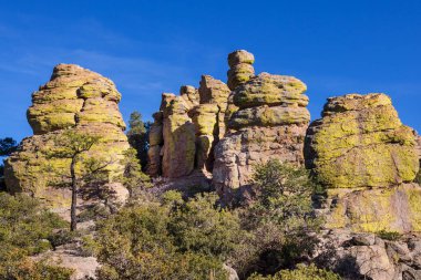Arizona, ABD 'deki Chiricahua Ulusal Anıtı' nın alışılmadık manzarası