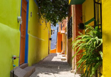 Meksika 'nın Guanajuato kasabasının renkli koloni tarzı evleri.