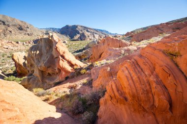 Rock Prominence in Gold Butte National Monument, Nevada, ABD.