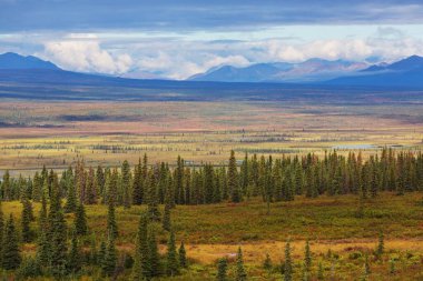 Yazın Alaska 'nın Picturesque Dağları. Kar, kütleleri, buzulları ve kayalık tepeleri kapladı. Güzel doğal arkaplan.
