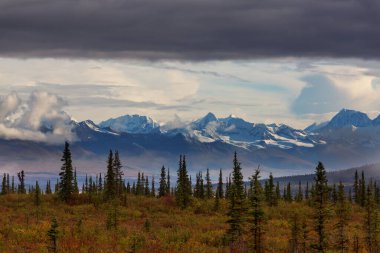 Yazın Alaska 'nın Picturesque Dağları. Kar, kütleleri, buzulları ve kayalık tepeleri kapladı. Güzel doğal arkaplan.