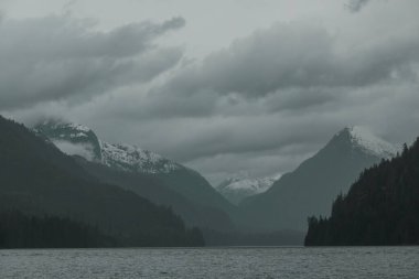 Vancouver Adası, British Columbia, Kanada