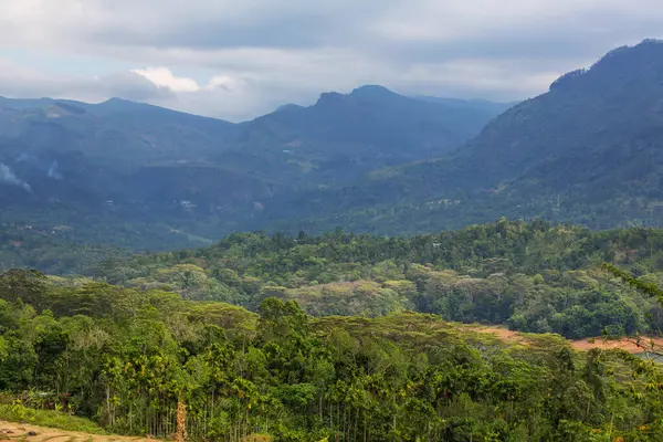 Beautiful Green Natural Landscapes Sri Lanka Mountains — Stock Photo, Image
