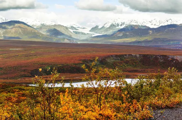 Tundra Landscapes Arctic Circle Autumn Season Beautiful Natural Background — 图库照片#