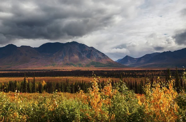 Tundra Landscapes Arctic Circle Autumn Season Beautiful Natural Background Imagem De Stock