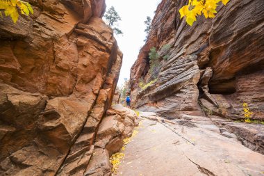 Utah, ABD 'deki Grand Staircase Escalante Ulusal Parkı' ndaki Slot Kanyonu. Utah çöllerinde alışılmadık renkli kumtaşı oluşumları yürüyüşçüler için popülerdir..