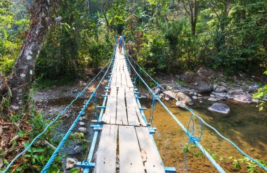 Tropikal ormanda asma köprüdeki turist, Honduras