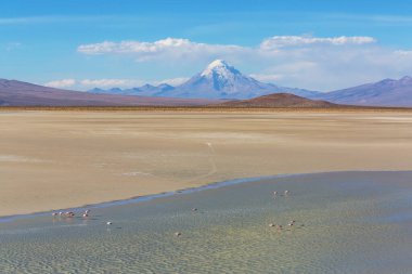And Dağları 'ndaki Altiplano Gölü, Bolivya, Güney Amerika