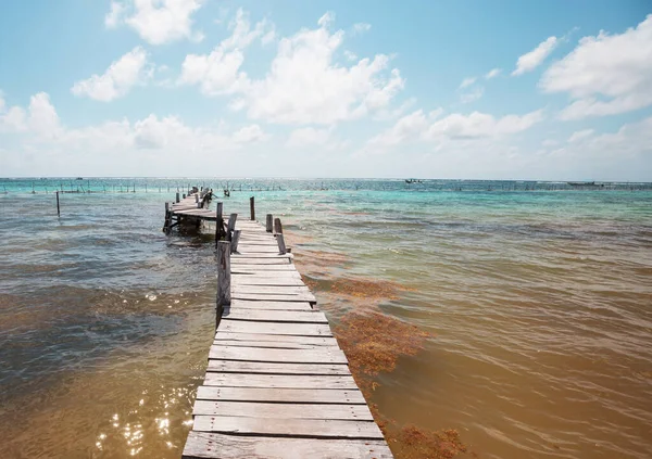 Tropikal sahilde sahil yürüyüşü