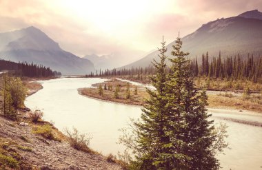 Yaz mevsiminde Kanada Kayalıkları 'nda resim gibi dağ manzarası