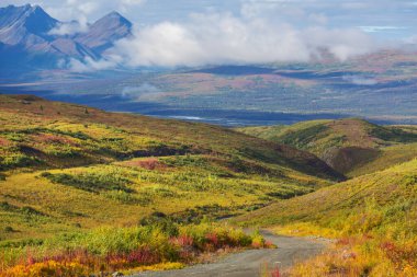Yaz mevsiminde Kanada Kayalıkları 'nda resim gibi dağ manzarası