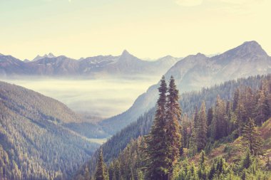 North Cascade Range, Washington, ABD 'deki güzel dağ zirvesi.