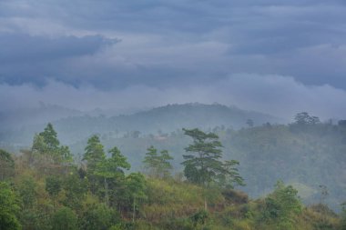 Sri Lanka dağlarında güzel yeşil doğal manzaralar