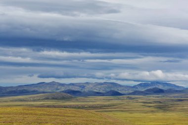 Kutup dairesinin üstündeki Tundra manzaraları