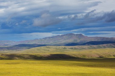 Kutup dairesinin üstündeki Tundra manzaraları