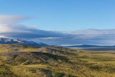 Kutup dairesinin üstündeki Tundra manzaraları