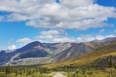 Kutup dairesinin üstündeki Tundra manzaraları