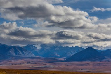 Kutup dairesinin üstündeki Tundra manzaraları