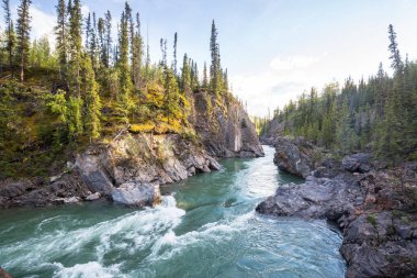 Beautiful mountains river in summer season, Canada