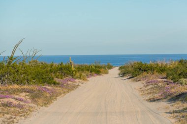 Beautiful natural landscapes in Baja California, Mexico