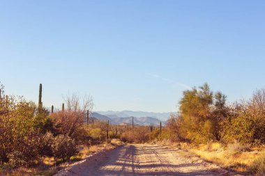 Beautiful natural landscapes in Baja California, Mexico