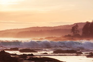 Doğal arkaplan için deniz batımı