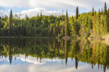 Yaz mevsiminde şafakta göl kıyısında