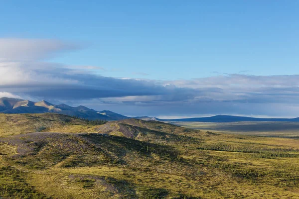 Krajobrazy Tundry Nad Kołem Podbiegunowym — Zdjęcie stockowe