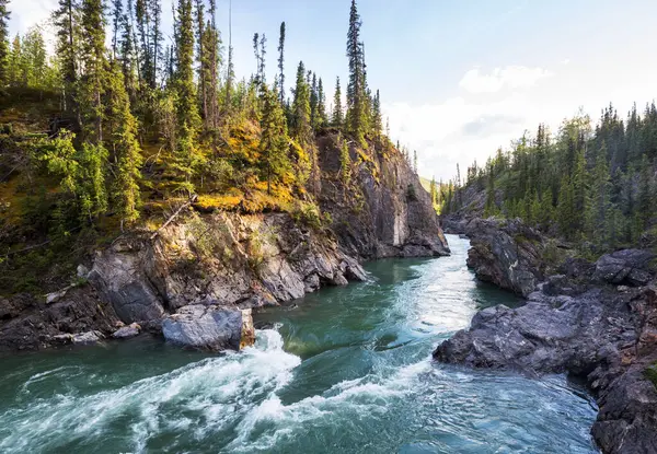 Όμορφα Βουνά Ποτάμι Κατά Θερινή Περίοδο Καναδάς — Φωτογραφία Αρχείου