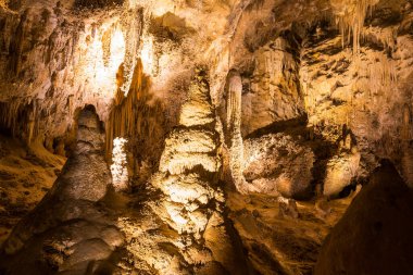 ABD, New Mexico 'daki Carlsbad Mağaraları Ulusal Parkı