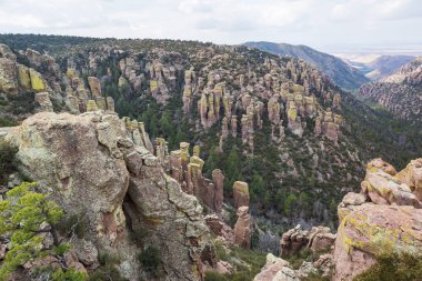 Arizona, ABD 'deki Chiricahua Ulusal Anıtı' nın alışılmadık manzarası