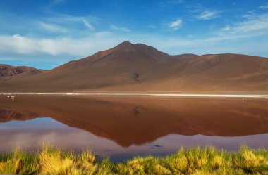 And Dağları 'ndaki Altiplano Gölü, Bolivya, Güney Amerika