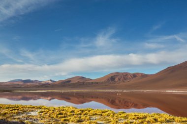 And Dağları 'ndaki Altiplano Gölü, Bolivya, Güney Amerika