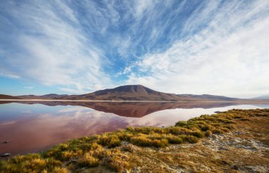 And Dağları 'ndaki Altiplano Gölü, Bolivya, Güney Amerika