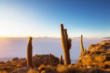 Salar de Uyuni, Bolivya, Güney Amerika 'da alışılmadık terk edilmiş manzaralar