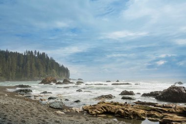 Vancouver Adası, British Columbia, Kanada