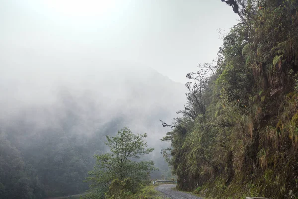 Beroemde Doodsweg Camino Muerte Boliviaanse Andes Bij Paz — Stockfoto