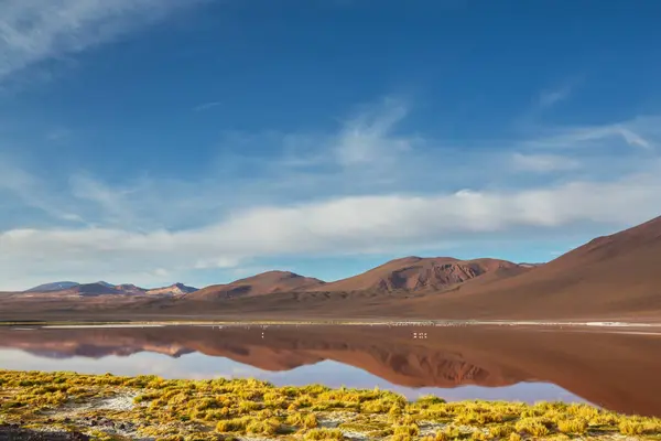 Altiplano Lake Andes Mountains Bolivia South America — стокове фото
