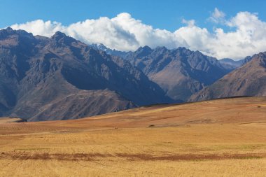 Peru, Güney Amerika 'daki yeşil dağlardaki tarım arazileri