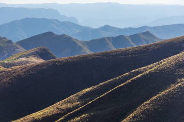 Yaz yeşili tepeler dağlarda manzara güzel yaz zamanı doğa