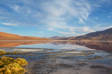 Güney Amerika'da gerçeküstü manzara. Renkli Laguna Colorada Altiplano Bolivya Platosu üzerinde.