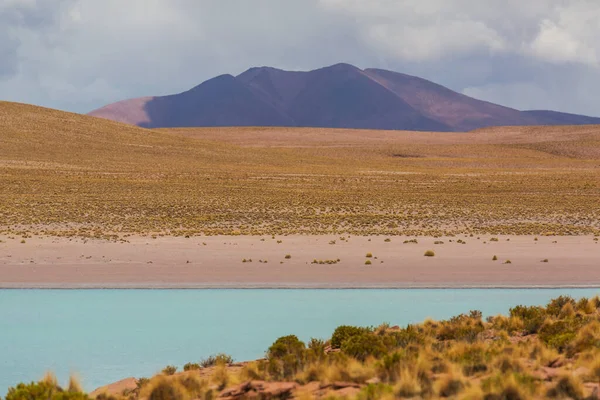 Lago Altiplano Sulle Ande Bolivia Sud America — Foto Stock