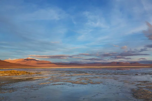 Λίμνη Altiplano Στις Άνδεις Βολιβία Νότια Αμερική — Φωτογραφία Αρχείου