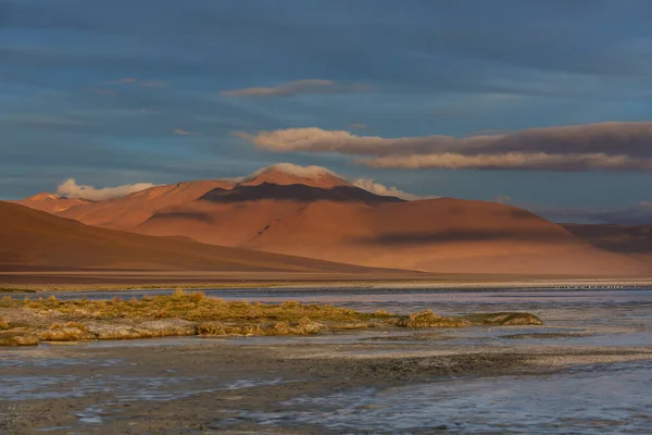 Altiplano Lake Andes Mountains Bolivia South America — стокове фото