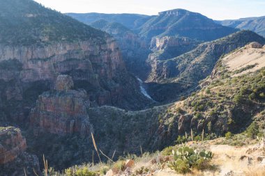 Arizona dağlarında güzel bir kanyonda bir nehir.